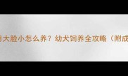 哈士奇四个月大脸小怎么养幼犬饲养全攻略附成长对比图