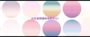 北京宠物猫咪领养中心