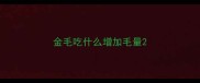 金毛吃什么增加毛量