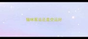 猫咪客运还是空运好