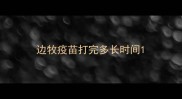 边牧疫苗打完多长时间