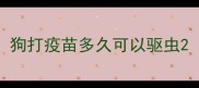 狗打疫苗多久可以驱虫