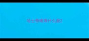 哈士奇眼珠什么颜