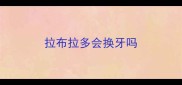 拉布拉多会换牙吗