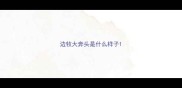 边牧大奔头是什么样子