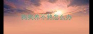 狗狗养不熟怎么办