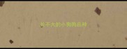 长不大的小狗狗品种