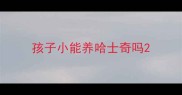 孩子小能养哈士奇吗