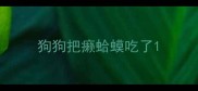 狗狗把癞蛤蟆吃了