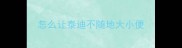 怎么让泰迪不随地大小便