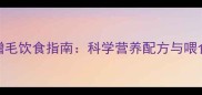 哈士奇增毛饮食指南科学营养配方与喂食方案全