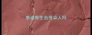 泰迪寄生虫传染人吗