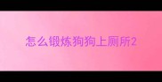怎么锻炼狗狗上厕所