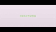把猫咪放在储物箱