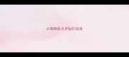 小狗狗多大开始打疫苗