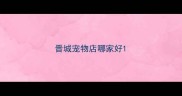 晋城宠物店哪家好
