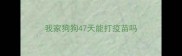 我家狗狗47天能打疫苗吗