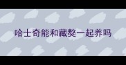 哈士奇能和藏獒一起养吗