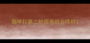 猫咪打第二针疫苗后会咋样