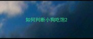 如何判断小狗吃饱