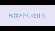 松鼠2个月吃什么