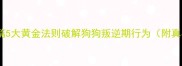 科学矫正篇5大黄金法则破解狗狗叛逆期行为附真实案例