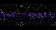 哈士奇三个月后有多大