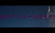 边牧7个月大一天吃多少