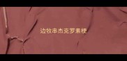 边牧串杰克罗素梗