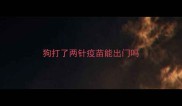 狗打了两针疫苗能出门吗