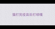 猫打完疫苗后打喷嚏