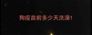 狗疫苗前多少天洗澡