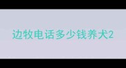边牧电话多少钱养犬
