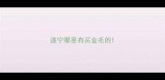 遂宁哪里有买金毛的