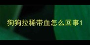 狗狗拉稀带血怎么回事