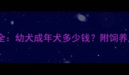 北京哈士奇价格全幼犬成年犬多少钱附饲养成本与选购指南