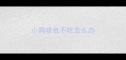 小狗啥也不吃怎么办