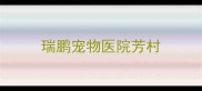 瑞鹏宠物医院芳村