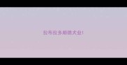 拉布拉多顺德犬业