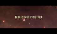 松狮边牧哪个难打理