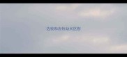 边牧和古牧幼犬区别