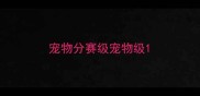 宠物分赛级宠物级