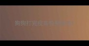 狗狗打完疫苗特别能吃