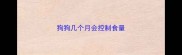 狗狗几个月会控制食量