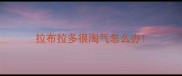 拉布拉多很淘气怎么办
