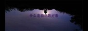 什么宠物鸟最好看