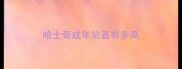哈士奇成年站直有多高