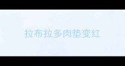 拉布拉多肉垫变红