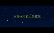 小狗体内有虫的症状