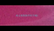哈士奇狗狗不吃不喝